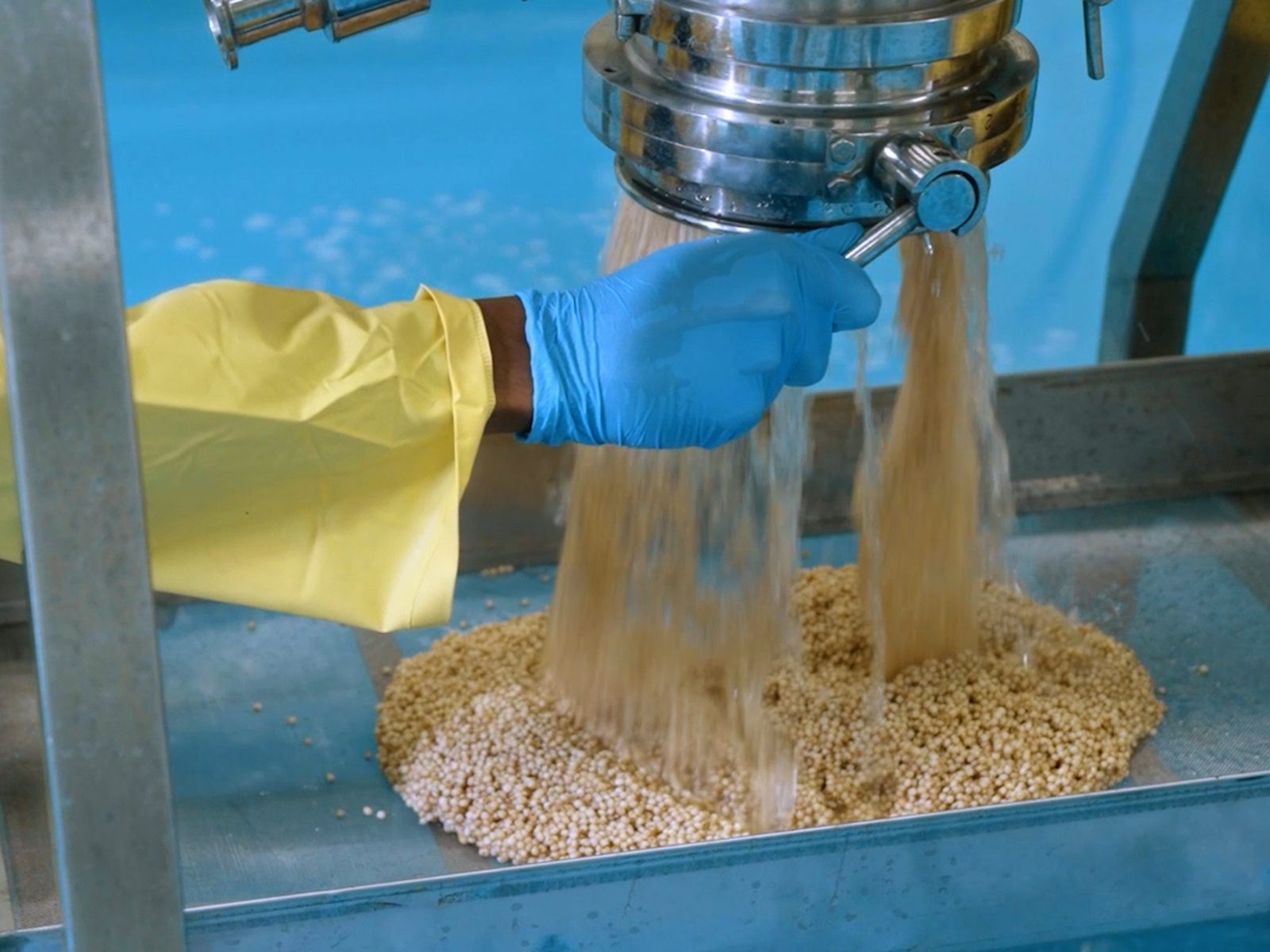 Graded grain passing through a sieve during cleaning